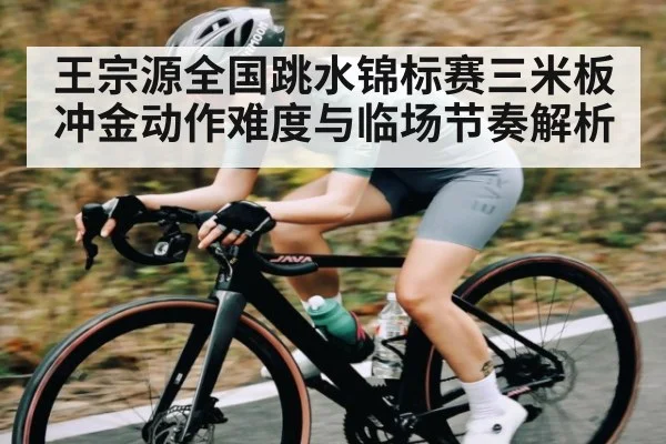王宗源全国跳水锦标赛三米板冲金动作难度与临场节奏解析